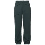 Oakley Mens Tnp Evoke Rc Shell Pants Snowmobile Snowboard Skiing Hunter Green. Fixed Price $72.00.